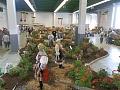 Obr: 4613.jpg