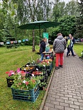 Obr: 5622.jpg