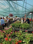 Obr: 5670.jpg