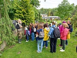 Obr: 6455.jpg