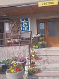 Obr: 6917.jpg