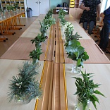 Obr: 6347.jpg