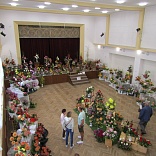 Obr: 6518.jpg