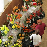 Obr: 6520.jpg