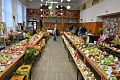 Obr: 4689.jpg