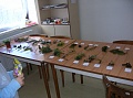Obr: 11340.jpg