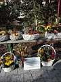 Obr: 27806.jpg