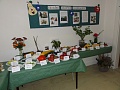 Obr: 36498.jpg