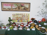 Obr: 43365.jpg