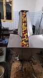 Obr: 50195.jpg