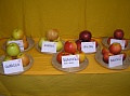Obr: 1209.jpg