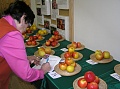 Obr: 14738.jpg