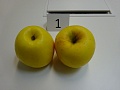 Obr: 20614.jpg