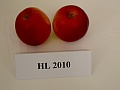 Obr: 29251.jpg
