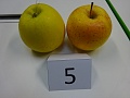 Obr: 30421.jpg