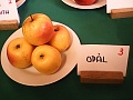 Obr: 4965.jpg