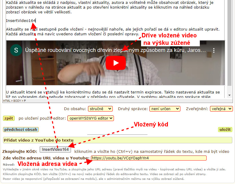 vložit video
