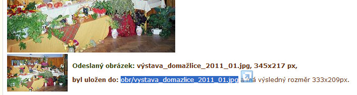 odeslaný obrázek