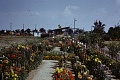 Obr: 24957.jpg