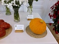 Obr: 34027.jpg