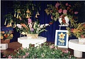 Obr: 3510.jpg