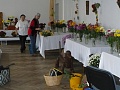 Obr: 4769.jpg