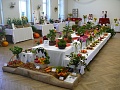 Obr: 5563.jpg