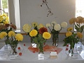 Obr: 8223.jpg