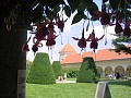 Obr: 1540.jpg