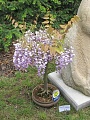 Obr: 6193.jpg