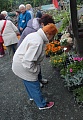 Obr: 33843.jpg